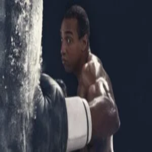 Fight 2088